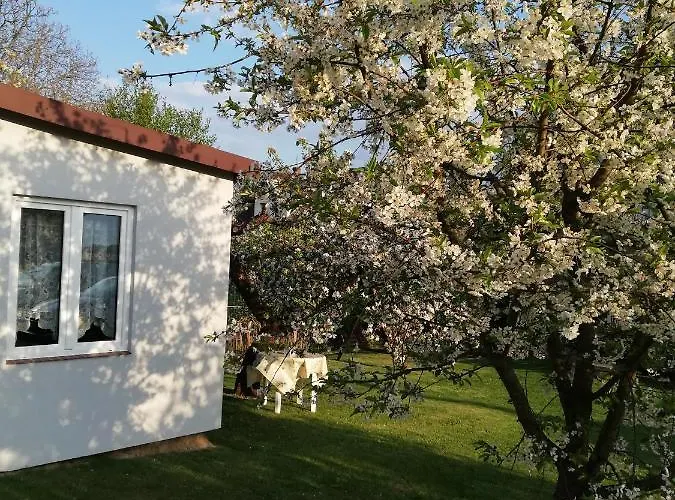 Miwa - Do Wynajecia * Mikołajki