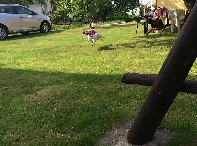 Miwa - Do Wynajecia Apartmán